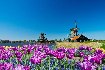 3 Días en Amsterdam Con Zaanse Schans
