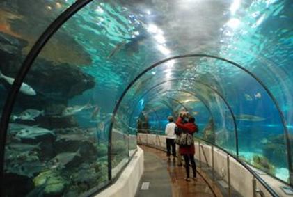 Barcelona With The Kids - 5 Days Itinerary