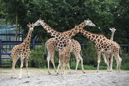 Three Days in Dublin Family Itinerary