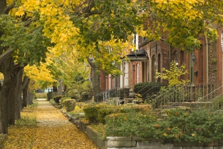 Best Time of The Year to Visit Chicago
