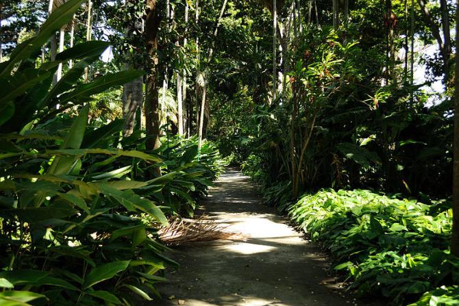 Foster Botanical Garden in Oahu | Visit A City