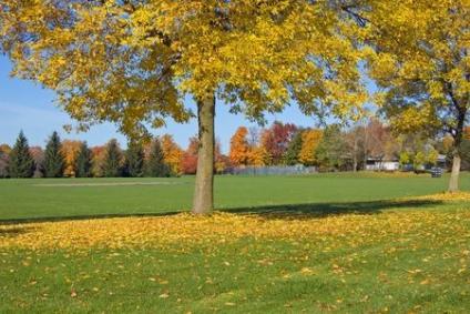 Toronto in Four Days Easy Going Itinerary