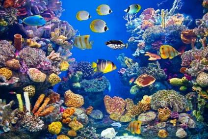 Toronto Four Days Family Itinerary
