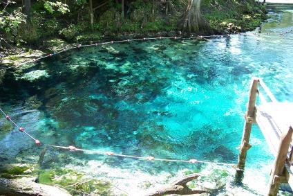 Blue Spring State Park in Orlando | Visit A City