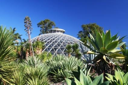 Brisbane in Two Days Family Itinerary