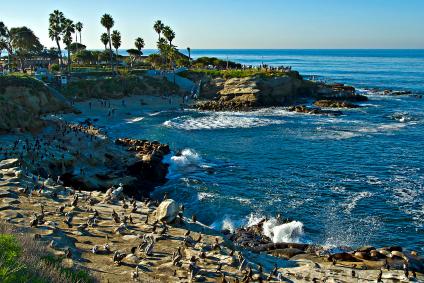 La Jolla Cove