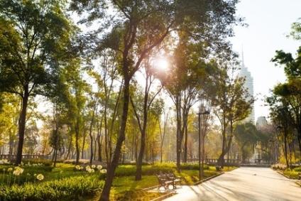 Mexico City in Six Days Easy Going Itinerary