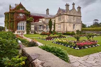 Killarney Top Attractions in One Day