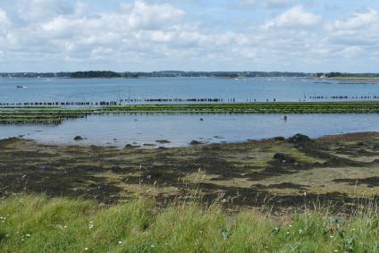 Golfe du Morbihan Natural Regional Park