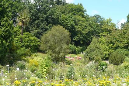 Caen One Day Itinerary