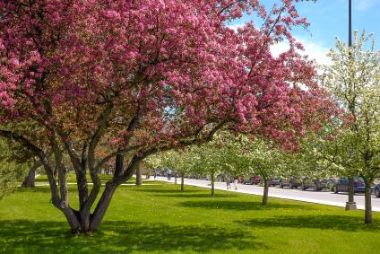 Ottawa One Day Easy Going Itinerary