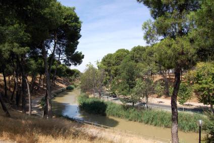 Pinares De Venecia