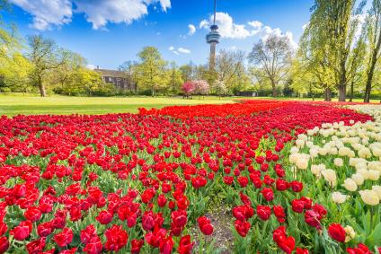 Rotterdam Two Days Easy Going Itinerary