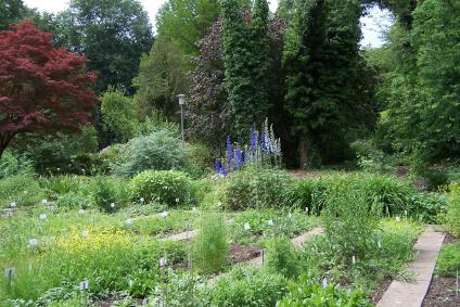 Old Botanical Garden