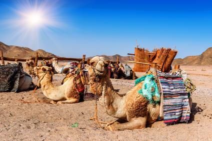 Abu Dhabi Five Day Family Itinerary