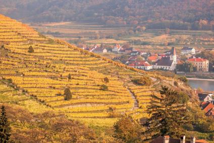 Spitz in One Day - 2 Suggested Itineraries | Visit A City