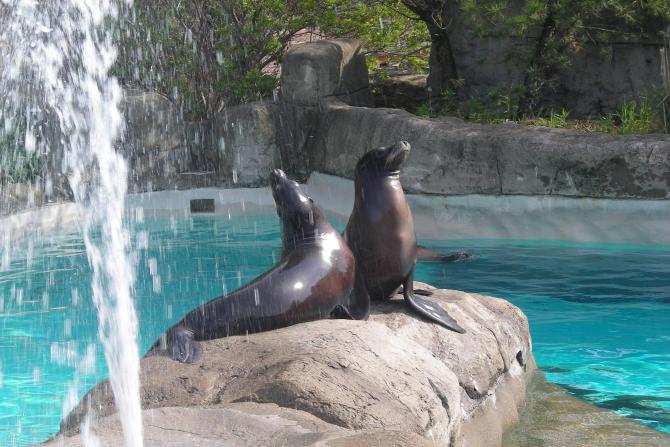 Pittsburgh Zoo & PPG Aquarium in Pittsburgh | Visit A City