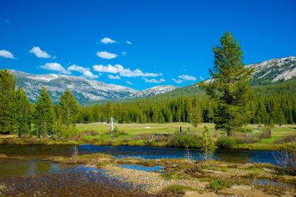 Tuolumne Meadows