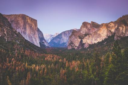 Tunnel View