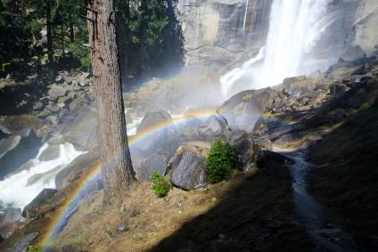 Mist Trail