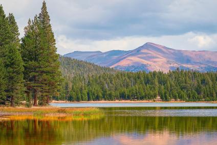 Dog Lake
