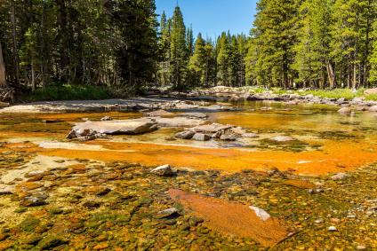 Lyell Canyon