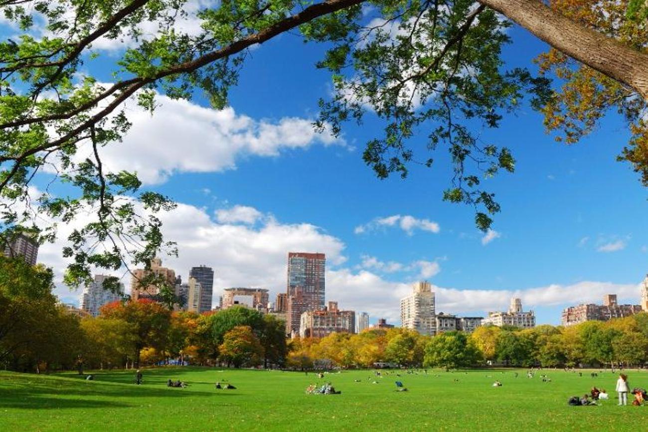 Central Park in New York City Visit A City