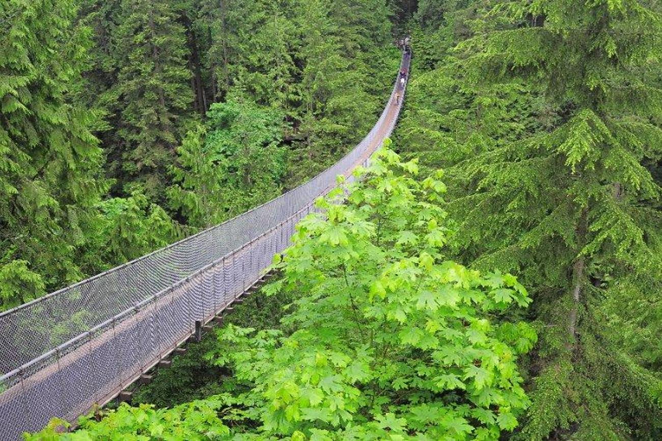Capilano Suspension Bridge Park in Vancouver Visit A City